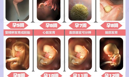戒烟半个月身体变化-戒烟半个月身体反应网- 戒烟半个月身体变化知识,分享戒烟半个月身体反应很大