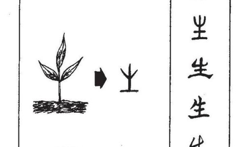 戒烟半月后身体会出现的各种变化-戒烟半个月身体反应网- 戒烟半个月身体变化知识,分享戒烟半个月身体反应很大